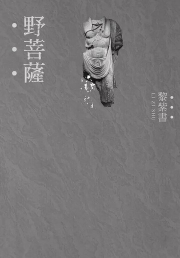 野菩薩（精裝版） 2/e 黎紫書著 2023 聯經