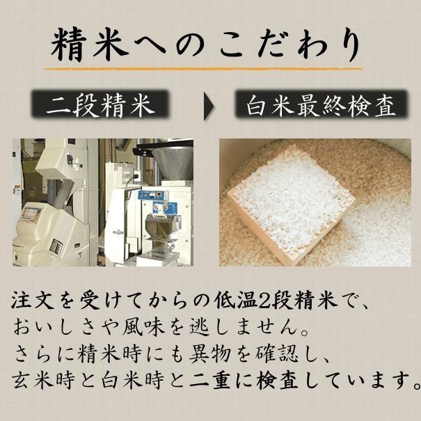 令和5年産 新米 ななつぼし 10kg（5kgｘ2）北海道米 一等米 特別栽培米 減農薬 選べる精米度 出荷前に精米 産直 白米 玄米 分づき米 お歳暮 ギフト