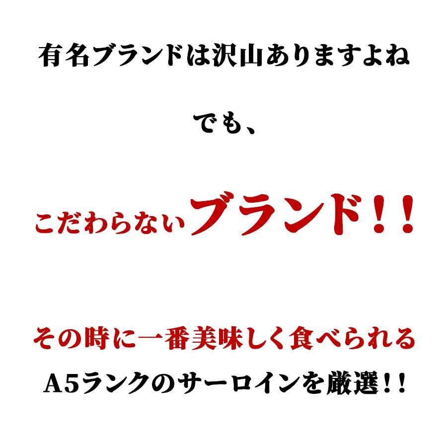 お歳暮 御歳暮 肉 焼肉 牛 牛肉 ステーキ 霜降り サーロイン A5 黒毛和牛 200g 冷凍 プレゼント ギフト 贈り物