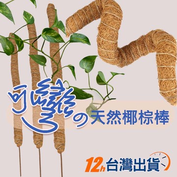 【台灣12h出貨】椰棒 爬藤棒 可彎曲細款 椰棕棒 椰纖棒 觀葉植物攀爬棒 龜背芋 黃金葛 花架 支撐架 現貨 發票