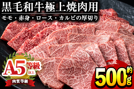 鹿児島県産黒毛和牛！A5等級霜降り(ロース・カルビ)赤身(モモ)焼肉用500g！