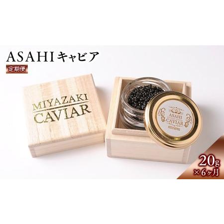 ふるさと納税 ASAHIキャビア　20g　6ヶ月定期便　N032-ZG020 宮崎県延岡市