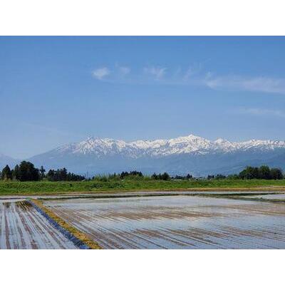 ふるさと納税 越後かに米こしひかり 3合×3袋 新潟県上越市