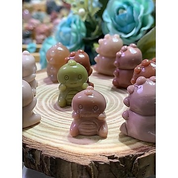 阿拉善泡泡龍阿拉善恐龍
