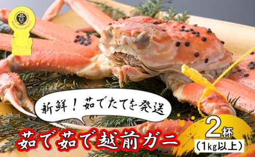 茹で越前ガニ食通もうなる本場の味をぜひ、ご堪能ください。1kg以上×2杯　越前がに 越前かに 越前カニ ずわいがに かに カニ ボイルガニ