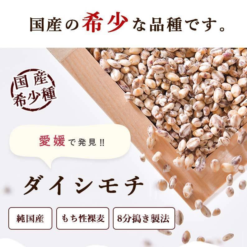 もち麦 国産 ゆでもち麦 100g 2袋セット 送料無料 (国産 希少ダイシモチ100%) 食物繊維 無添加 もちむぎ ダイシモチ 加熱済