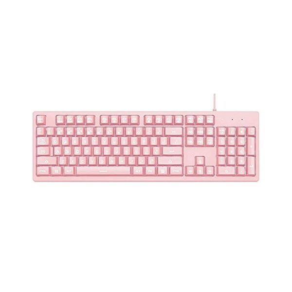 50 Off Ajazz Dks100 有線usb フルサイズキーボード 可愛いキーボード 104キー 3レベルの白いバックライ 人気no 1 本体 Centrodeladultomayor Com Uy