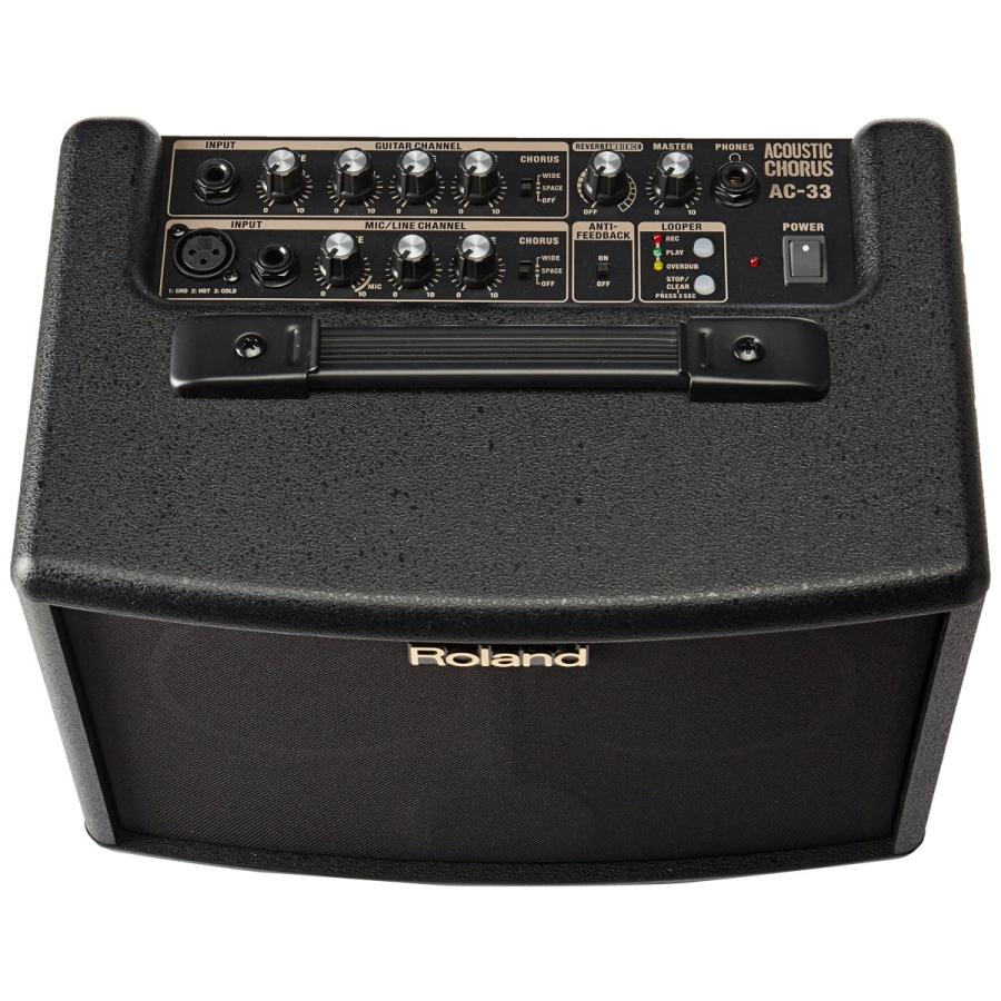 Roland ローランド アコースティック ギター アンプ 15W 15W