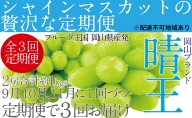 ぶどう 定期便［2023年先行予約］9月・10月・11月発送 シャインマスカット 晴王 2房（合計約1kg）岡山県産