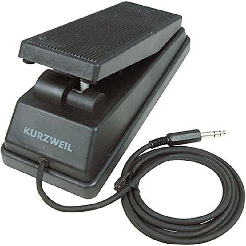 Kurzweil CC-1 Continuous Control Keyboard Foot Pedal, Black by Kurzwei