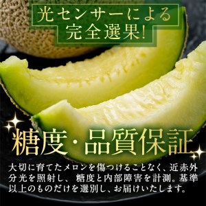 ＜訳あり＞マル福の高級アールスメロン(1玉・1.7kg)