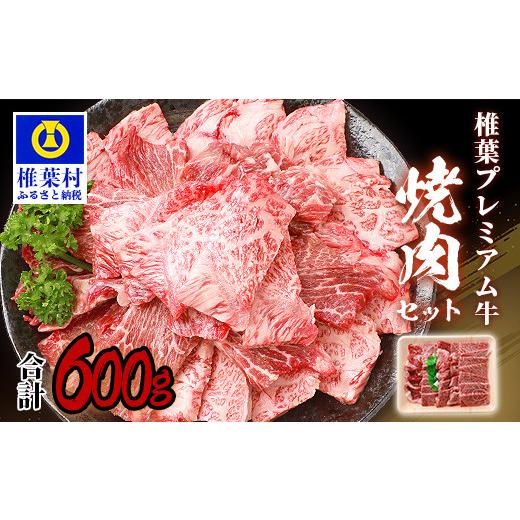 ふるさと納税 宮崎県 椎葉村 宮崎県産 椎葉プレミアム牛 焼肉セット