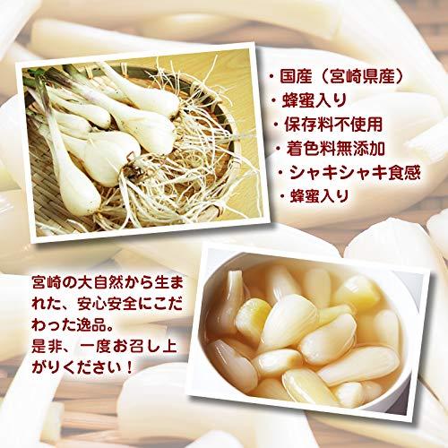 [前田家] プレミアム 国産 らっきょう 300g (150g×2) 宮崎県産 甘酢 らっきょう 蜂蜜入り 着色料無添加 保存料不使用 カレー チャー