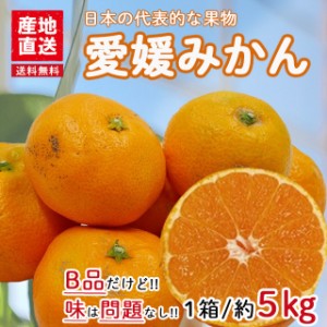 みかん 愛媛みかん 訳あり 送料無料 5kg B品 温州みかん ミカン 蜜柑 安い 甘い 箱買い 産地直送 愛媛県産 YDF-001