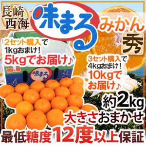 長崎 西海 ”味まるみかん” 秀品 約2kg 大きさおまかせ《2セット購入で1kg、3セット購入で4kgおまけ》最低糖度12度保証【予約 11月下旬