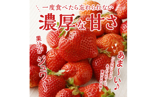 エコファーマー　あまおう　約300g×4パック　計1.2kg