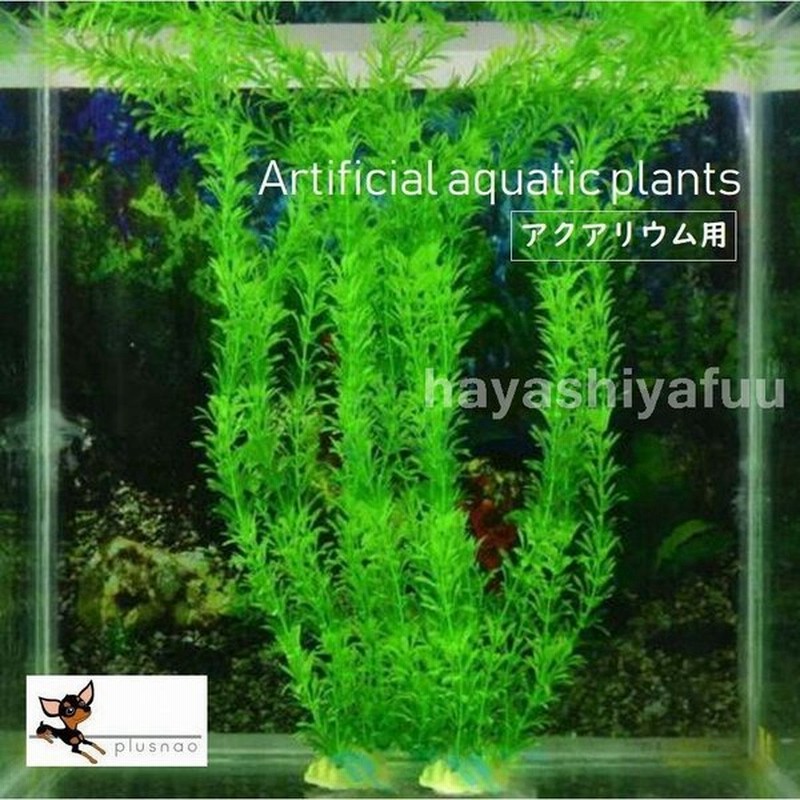 熱帯魚水槽装飾飾り金魚観賞用おしゃれ人工草水草アクアリウムグリーンプラスチック 通販 Lineポイント最大get Lineショッピング