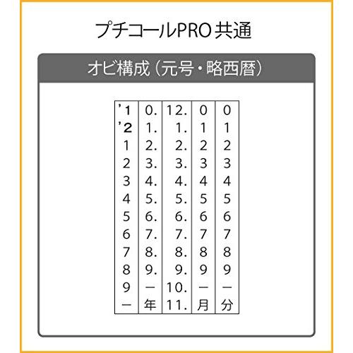 サンビー スタンプ データー印 プチコール PRO15 領収 PTP-15KP ピンク