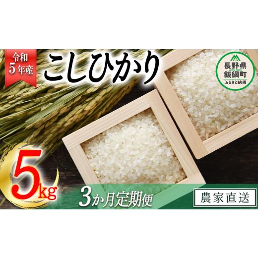 ふるさと納税 長野県 飯綱町 米 こしひかり 5kg × 3回 令和5年産 沖縄県への配送不可 2023年11月上旬頃から順次発送予定 米澤商店 コ…