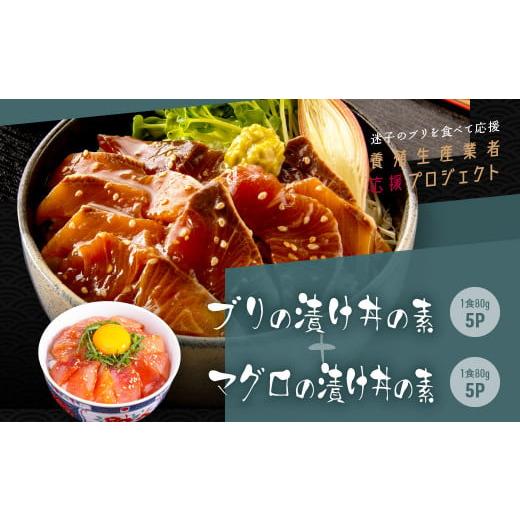 ふるさと納税 高知県 芸西村 「ブリの漬け丼の素」1食80g×5P＋「マグロの漬け丼の素」1食80g×5P《迷子のブリを食べて応援 養殖生産業者応援プロジェクト》