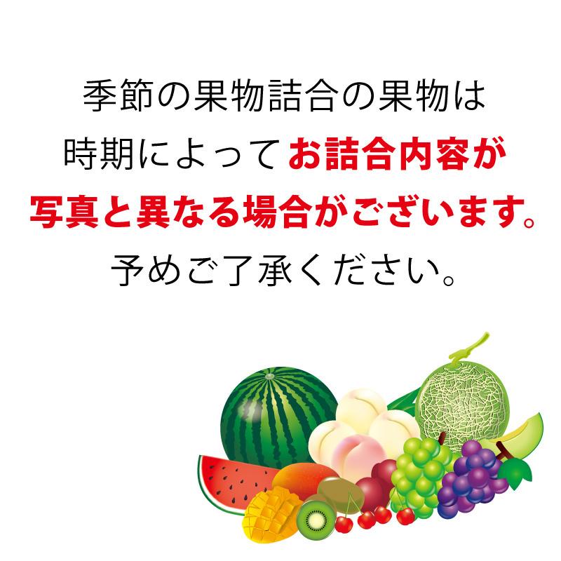 日本橋 千疋屋総本店 季節の果物詰合 (6)｜お中元 ギフト 詰め合わせ お祝い 内祝い 法事 お供え お見舞い 贈り物 贈答品