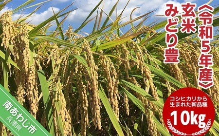 令和５年産・玄米『みどり豊』10kg