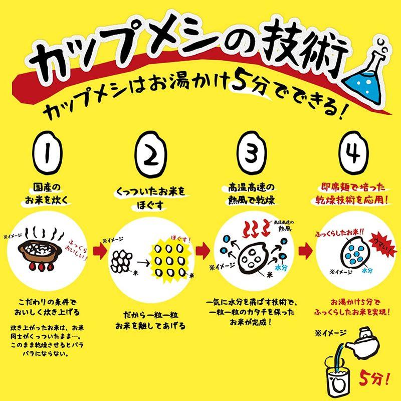 日清食品 カレーメシ ビーフ 107gx6個