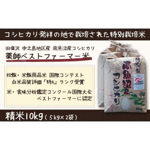 ふるさと納税 新潟県 南魚沼市 新潟県 南魚沼産 コシヒカリ お米 こしひかり 精米 白米 のし 贈り物  熨斗 贈答用 令和5年産 旧塩沢町 中之…