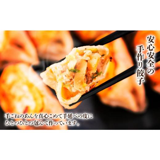 ふるさと納税 北海道 苫小牧市 味の大王 カレーラーメン 元祖ホッキ餃子(20個) エゾ山わさび餃子(20個)