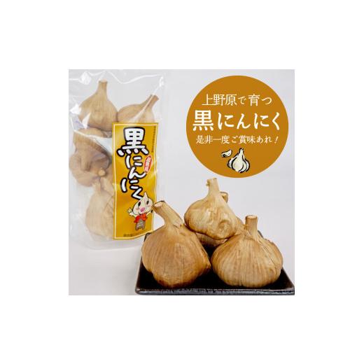 ふるさと納税 山梨県 上野原市 超熟成黒にんにく×1袋（250g）