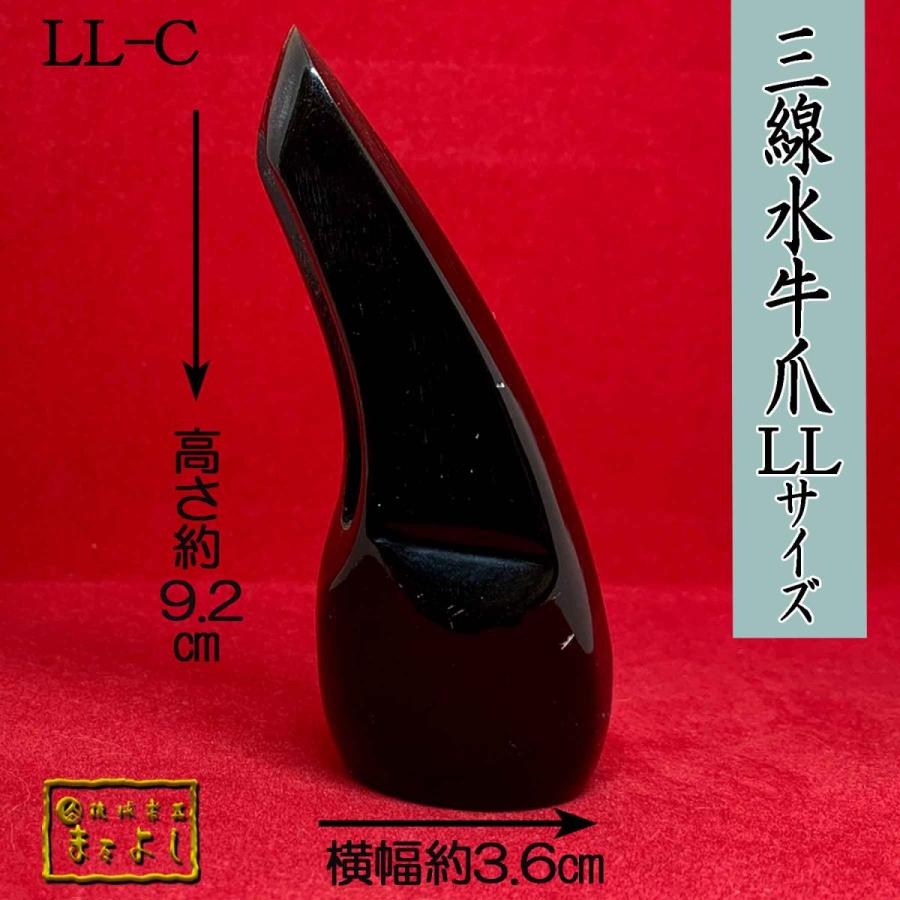 水牛角三線爪　LLサイズ　（LL-C）