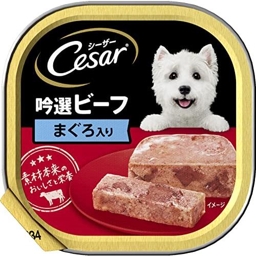 シーザー 限定 成犬用 吟選ビーフ まぐろ入り 100g×24個 (まとめ買い