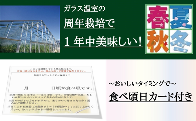 クラウンメロン 定期便 3ヶ月 白等級 2玉 メロン 果物 くだもの フルーツ マスクメロン デザート 青肉 高級 3回 お楽しみ