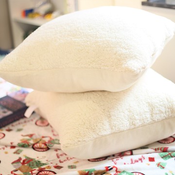 出口雙面可拆卸含芯子白色大抱枕60*60CM云朵絨+白色牛奶絨大靠枕