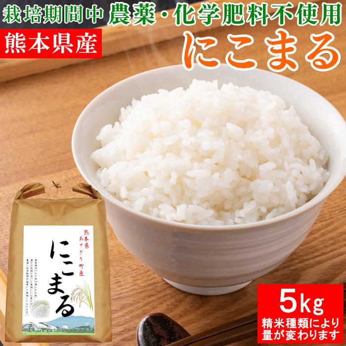 令和5年産 熊本県産 にこまる 5kg 選べる精米歩合 お米 白米 玄米 5分づき 7分づき 熊本県 農薬不使用 化学肥料不使用