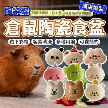 倉鼠陶瓷食盆 倉鼠食碗 小碗盤 陶瓷倉鼠小食盆 鼠食盆 鼠用食盆 小寵食盆 倉鼠食盆 毛大二寵物店