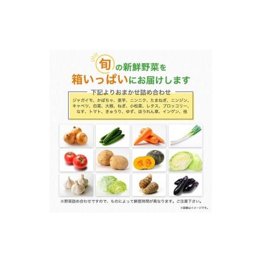 ふるさと納税 福島県 棚倉町  野菜 詰め合わせ セット おまかせ 詰め合わせ 旬 旬野菜 季節の野菜 新鮮 産地直送 産直野菜 人気 美味しい 送料無料 【1017…