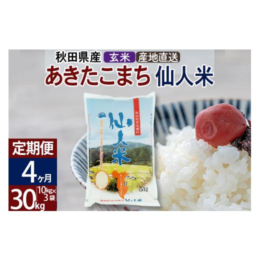 ふるさと納税 秋田県 東成瀬村 新米 令和5年産 あきたこまち 秋田県産「仙人米」玄米 30kg（10kg×3袋）