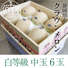 静岡県産クラウンメロン 並(白等級) 約1.3kg 6玉入り