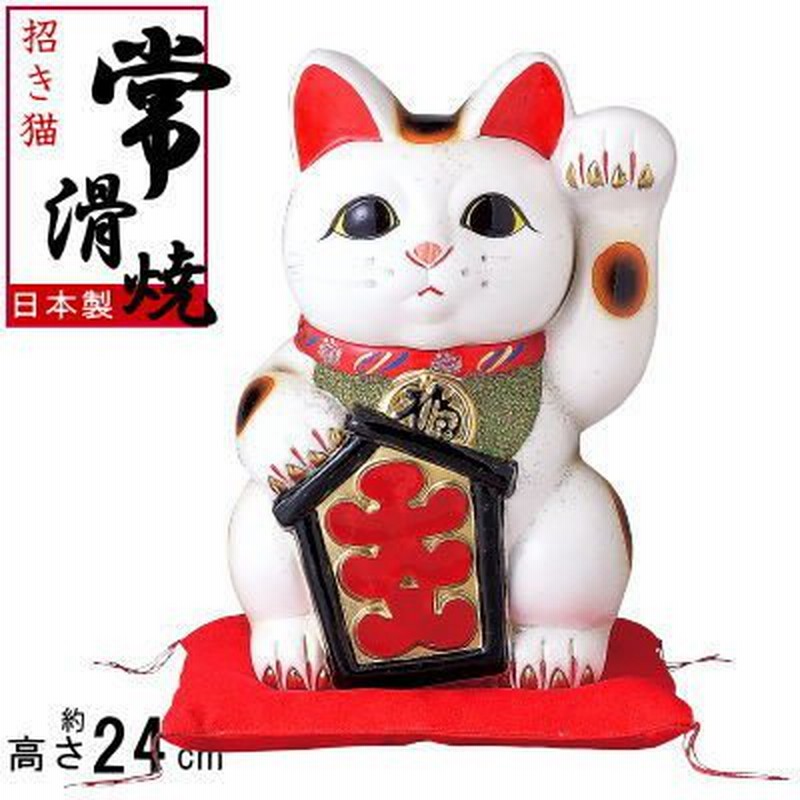 流行に 常滑焼 招き猫 梅月 開運白手長小判猫 右手 15号 高さ ilam.org