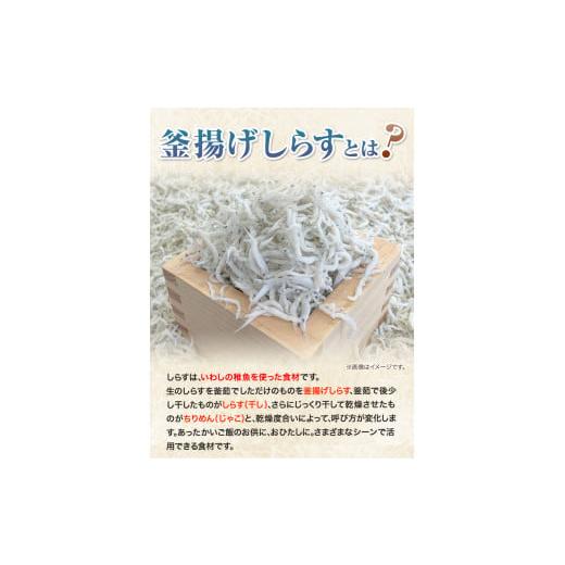 ふるさと納税 和歌山県 紀の川市 釜揚げしらす900g（木箱) 大五水産 《30日以内に順次出荷(土日祝除く)》 和歌山県 紀の川市 しらす 釜揚げしらす