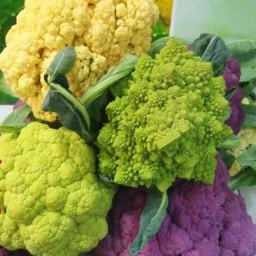 綠色家園|台灣現貨 花菜種子 稀有花椰菜(種子) 花松花菜 西藍花 有機蔬菜 蔬菜 花菜