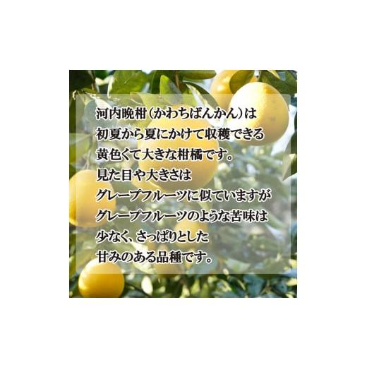 ふるさと納税 愛媛県 愛南町 先行予約 愛南育ち 吉田農園 愛南産の河内晩柑 約10kg 柑橘 フルーツ お中元 ギフト プレゼント 愛媛県 愛南町 発送期…