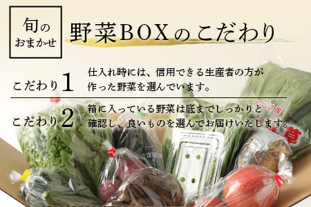 旬のおまかせ 野菜 BOX 野菜定期便 旬の野菜 詰め合わせ 野菜 新鮮 野菜 8～11品目 H-13