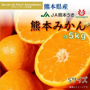 [予約 2023年 12月25日頃から発送] 熊本みかん Sサイズ 約5kg 熊本県産 熊本 JA熊本うき 産地箱 冬ギフト お歳暮 御歳暮