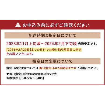 ふるさと納税 熊本県産 活き車海老 約600g（20〜30尾程度） 熊本県宇城市