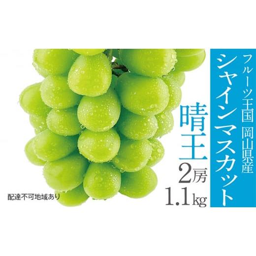 ふるさと納税 岡山県 里庄町 ぶどう 2024年 先行予約 シャイン マスカット 晴王 2房（合計約1.1kg） 晴れの国 おかやま 岡山県産 フルーツ王国 果物王国