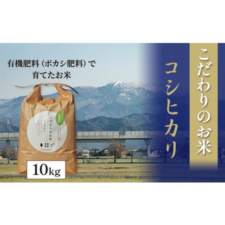 ふるさと納税 北本農場 「こだわりのお米」 令和5年度産　精米 10kg 石川県能美市