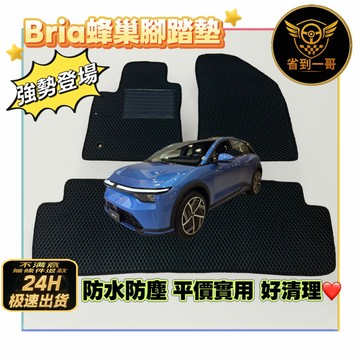 🏎️強勢登場 鴻華 Bria 蜂巢腳踏墊 全新上市 海馬造型 便宜實用 腳踏墊 後箱墊 鴻華先進 電動車