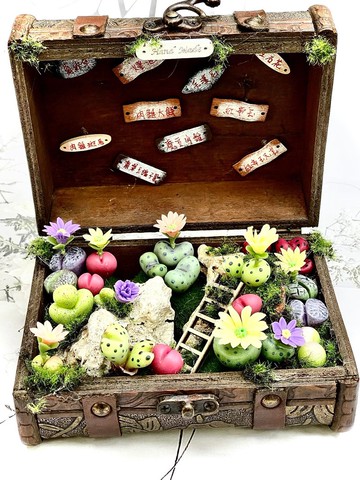 多肉奇幻花園 店面 居家 裝潢 裝飾 擺件